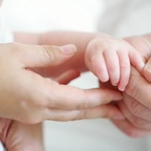 close up photograph of a family's hands