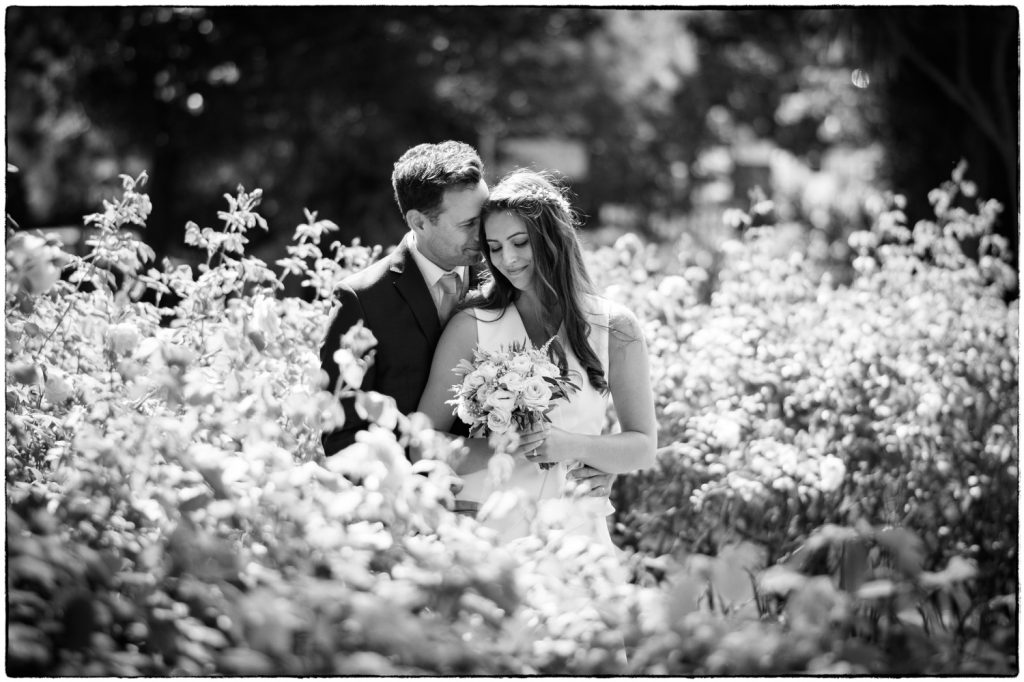 lockdown and bubbles 20