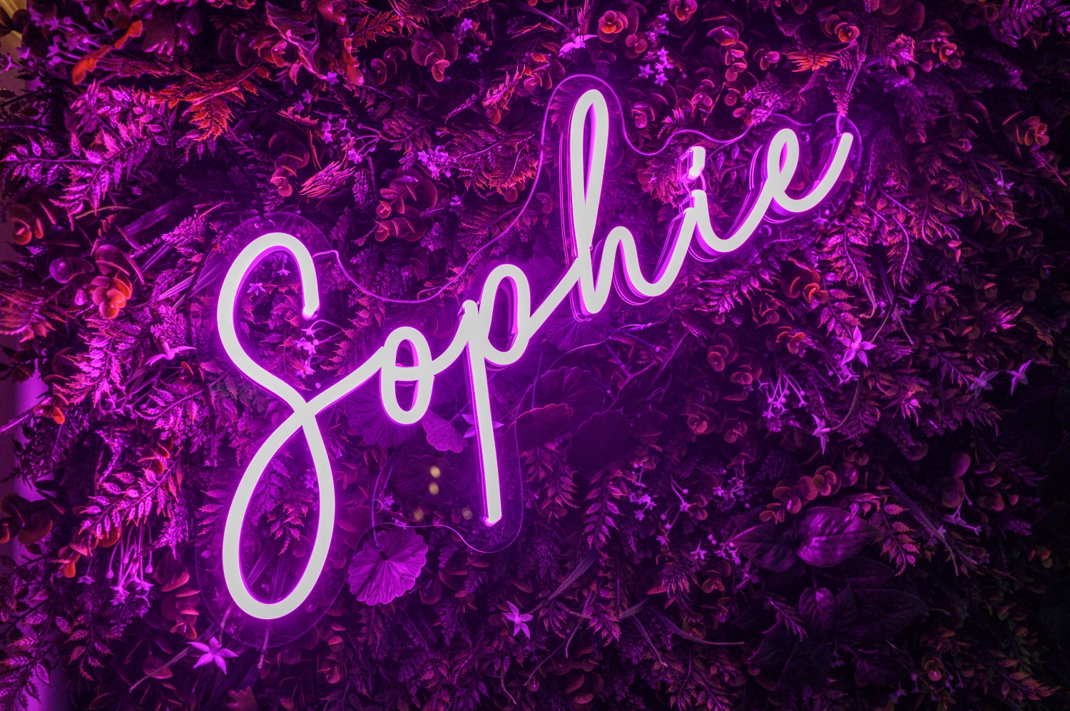 Sophie’s Bat Mitzvah